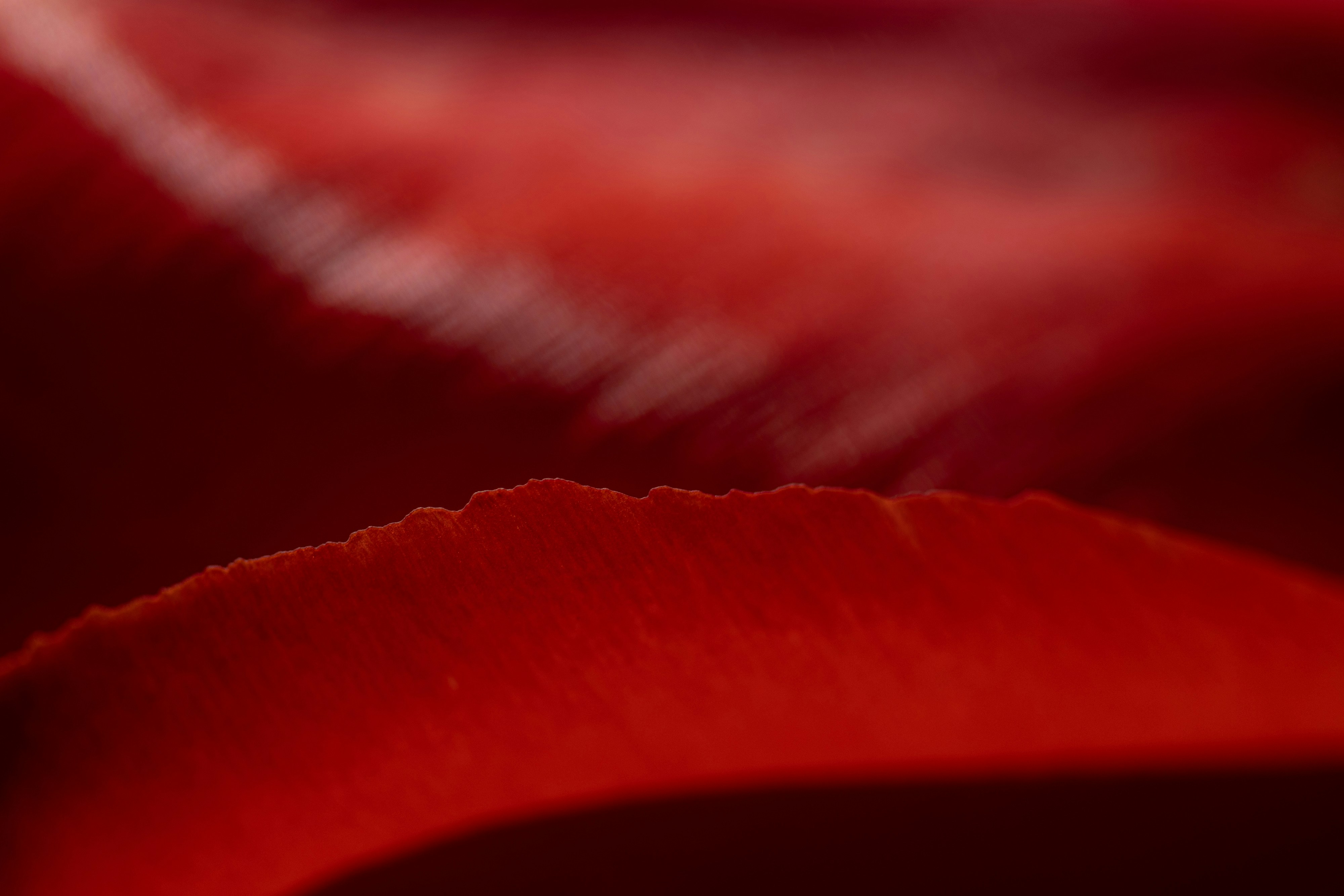 冷静に数字を見つめる男性