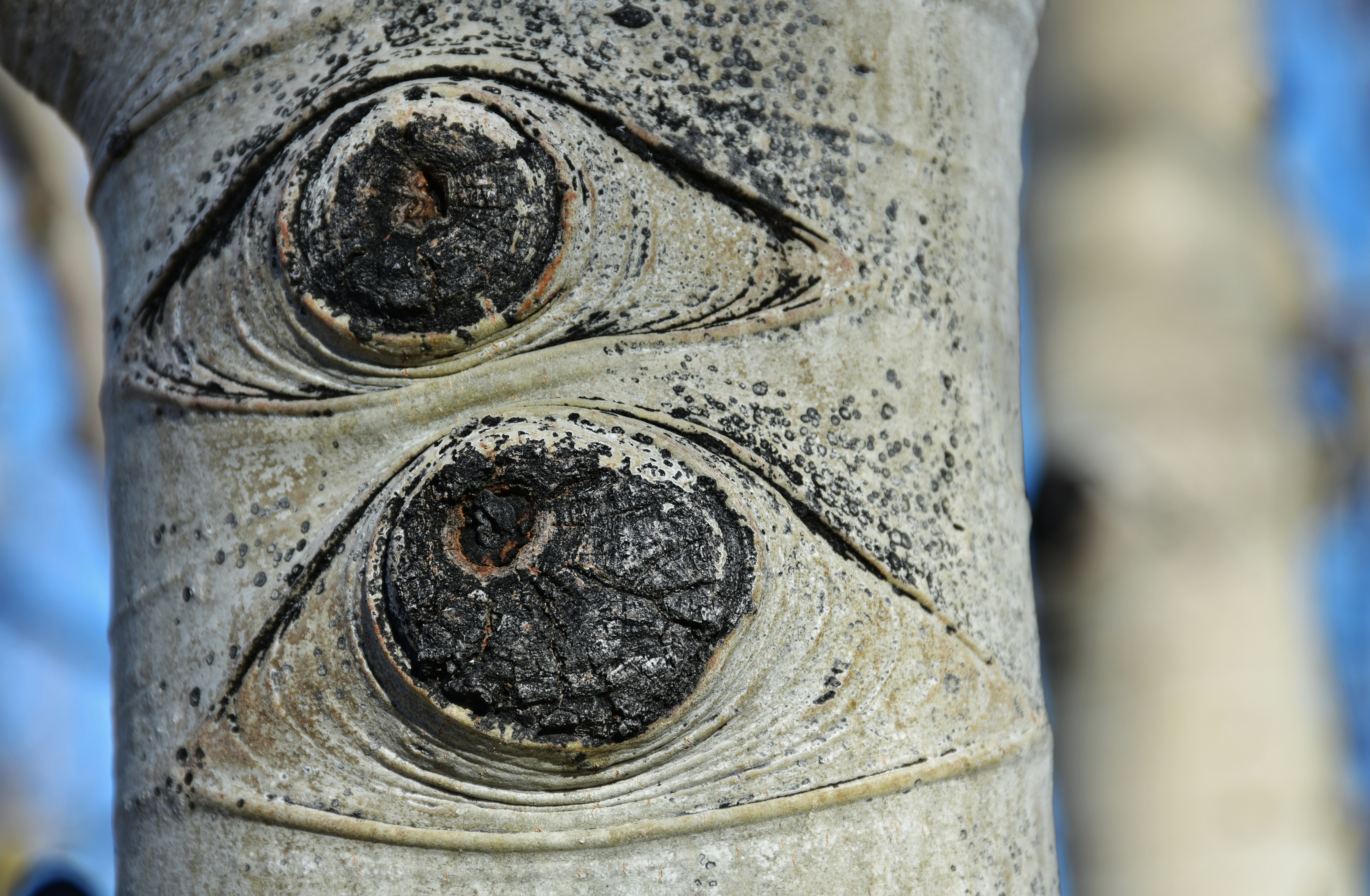 オフィスで真剣な表情で打ち合わせをする経営陣とコンサルタントの様子